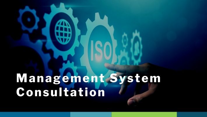 Management System Consultation