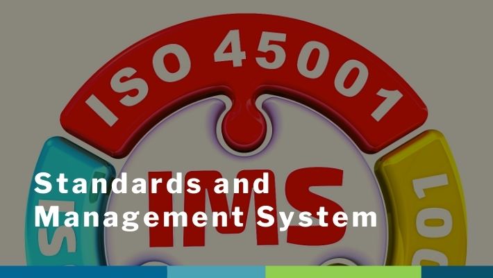 standards and management system